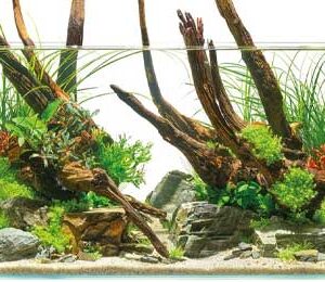 Akvarijumi